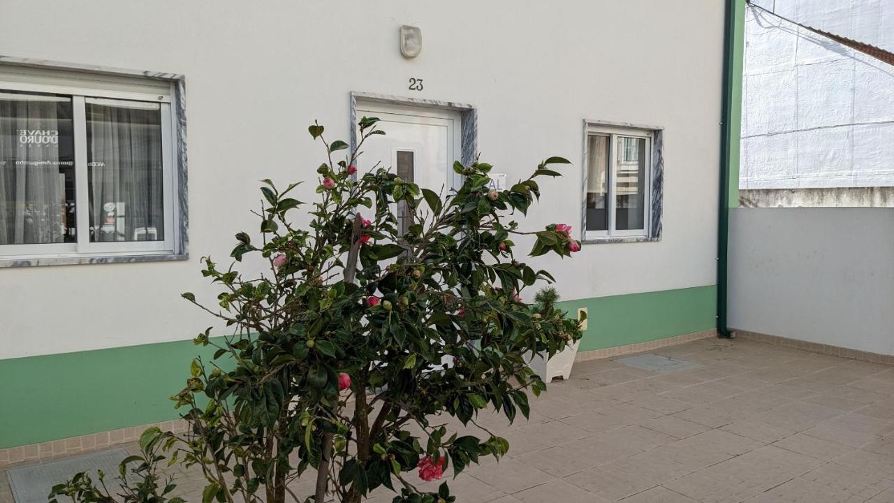 Casa Domingues Guest House Калдаш-да-Раинья Экстерьер фото